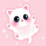 Cute Cat Wallpaper Image HD 4K
