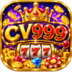 Icona cv999