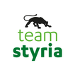 team styria ไอคอน