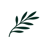 Cyprus Airways