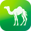Camel Live আইকন