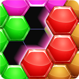 Hexa Puzzle Game