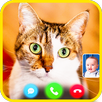 Cat fake call APK
