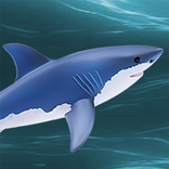 The Last Shark