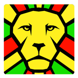 Dancehall Reggae Music FM