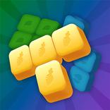Block Master