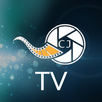 CJ TV APK