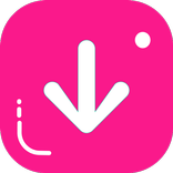 Video Downloader - Story Saver