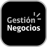 Gestión Negocios
