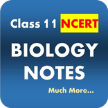 Class 11 Biology Notes