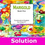 class 5 english book answer