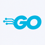 Nauka Go: Programowanie
