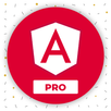 Learn Angular: AngularDev PRO APK