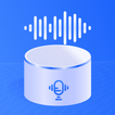 Setup Voice Commands Assistant icon