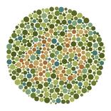 Color Blind Test