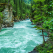آیکون‌ Nature Wallpaper