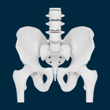 Anasalva X-Rays