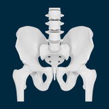 Anasalva X-Rays aplikacja