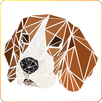 Dot Poly APK