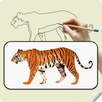 Drawing Sketch And Trace APK