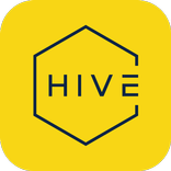 The Hive Hostels