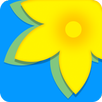 Gallery APK