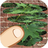 Trees, which one is hiding APK