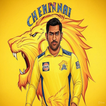 CSK Status icon