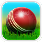 Cricket 3D icon