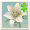 Inner Garden: Desert Garden APK