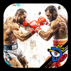 Dual Boxing APK