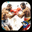 Dual Boxing icon