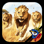 Raça animal da savana