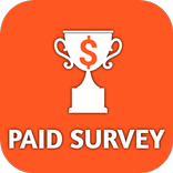 Paid Survey: Earn Online guide