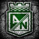 REY DE COPAS APK