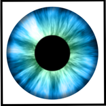 Free Eye Test