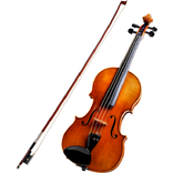 Suonare il violino