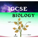 IGCSE biology notes