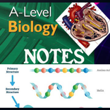A level biology notes