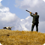 Hunting - birdcall birdsong