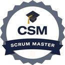 CSM ScrumMaster Pocket Study APK