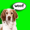 Bark Translator: Human to Dog APK