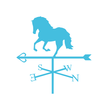 Manege De Blauwe Steen icon
