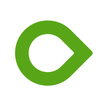 Dexcom ONE আইকন