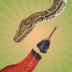 Snake Touch APK