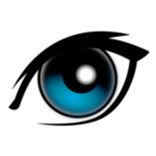 HiCam Secret Spy Camera & Hidden Camera