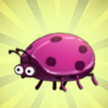 Insect Super Evolution