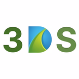 3DS