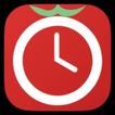 Focus Flow Pomodoro Timer icon
