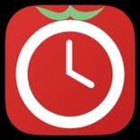 Focus Flow Pomodoro Timer